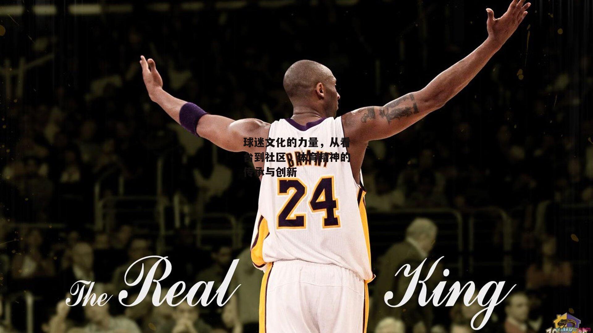 球迷文化的力量，从看台到社区，体育精神的传承与创新